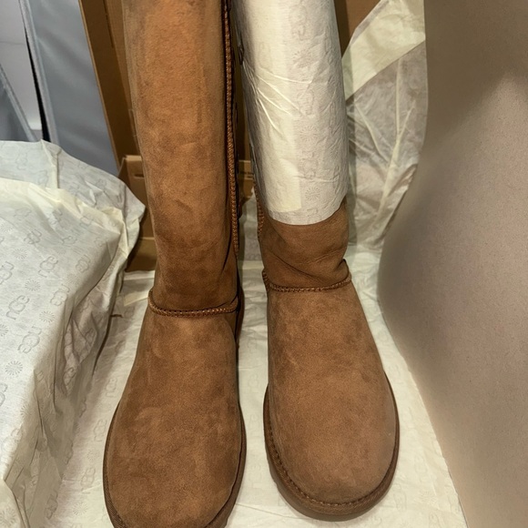 New UGG Kristabelle Tall boots - Corset lace up size 8
Chestnut - Picture 7 of 11